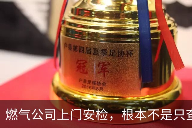 燃气公司上门安检，根本不是只查漏气！真正目的其实是这二件事